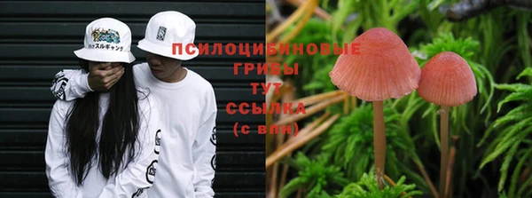 первитин Дмитриев