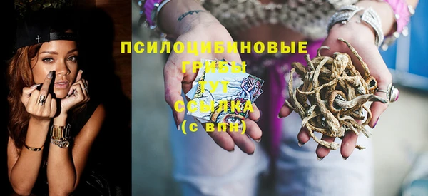 молекула духа Тобольск