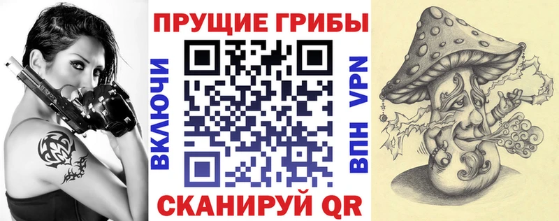 Псилоцибиновые грибы Magic Shrooms  где продают наркотики  Гусь-Хрустальный 