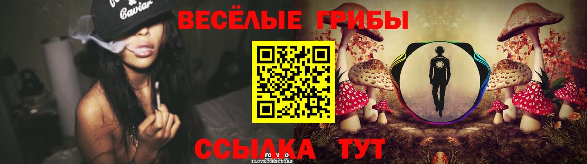 Гусь-Хрустальный  Псилоцибиновые грибы мицелий  Вход с VPN 