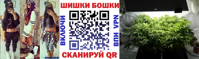 Бошки Шишки SATIVA & INDICA  MEGA маркетплейс  Гусь-Хрустальный  как найти закладки 